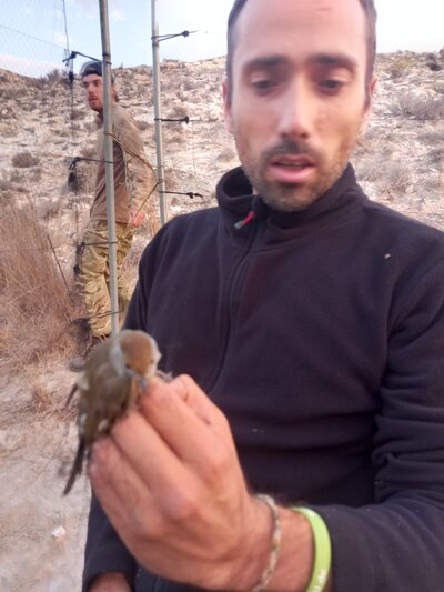 CABS volunteer with a bird rescued from a trap. Photo: CABS CABS volunteer with a bird rescued from a trap. Photo: CABS