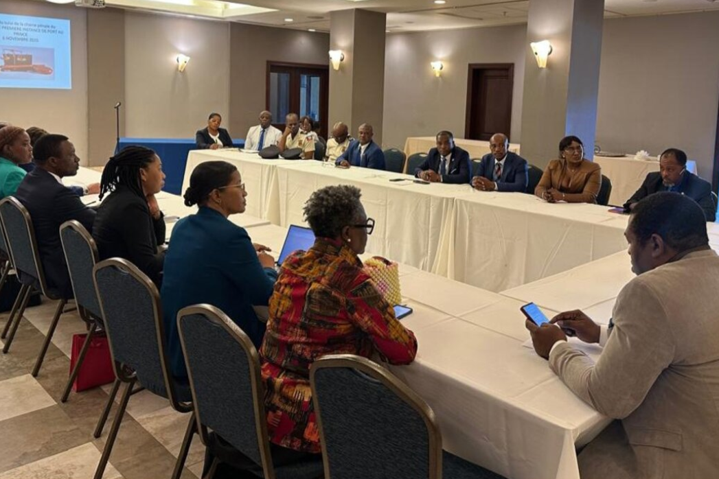 A view at the BINUH meeting.