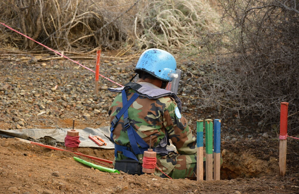 A UN team of 29 Cambodian deminers at work in Cyprus. In the six months between May and November 2015, the team cleared areas of the buffer zone around Mammari and Lefka-Aplici. UNFICYP/Juraj Hladky